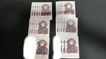 세라프 다즐 가든 데뷔 폴라로이드