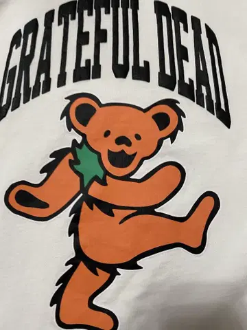 GRATEFUL DEAD 티셔츠 화이트 M 사이즈 베어