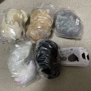 낯을 가리는 고양이 봉제 인형 가챠가챠 5종 풀 컴플리트