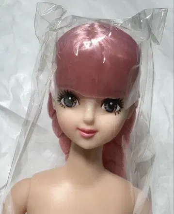 사야카 제니 프렌드 오모치리 인형 리카짱 미사용 새상품 타마키 시온