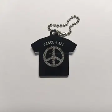 GLAY G4space 티셔츠 아크링 키링 컬렉션 하코다테 한정판