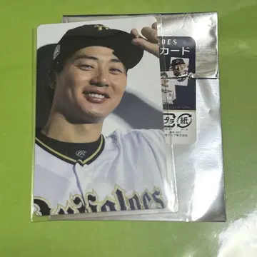오릭스 버팔로스 트레이딩 카드 트레이딩 카드 히로오카 다이지