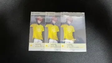 세라프 다즐 정원 클리어 카드