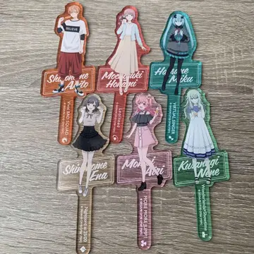 프로젝트 세계 아크릴 스틱 6종 세트