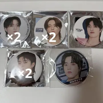 트레저 하루토 하