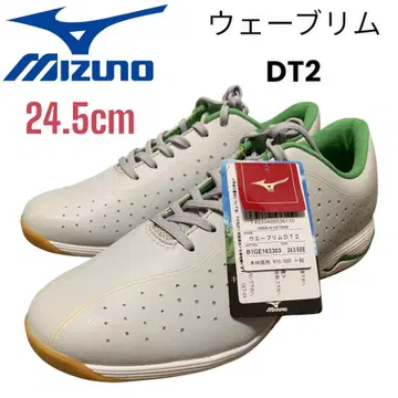 미사용! 미즈노 워킹화 24.5cm EEE 웨이브 림 DT2