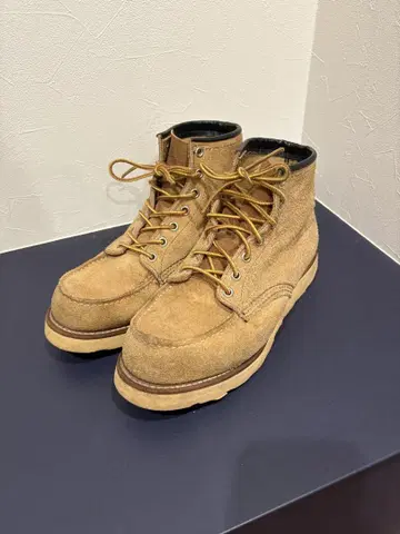 Red Wing 레드윙 아이리쉬 세터