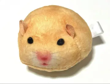 마시멜로 하무콧토 킨쿠마 봉제인형