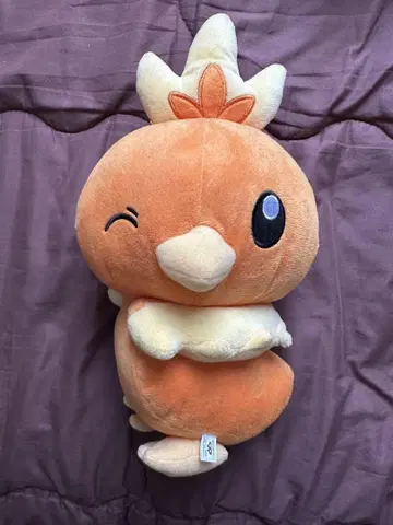 포켓몬 아차모 봉제 인형