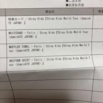 Stray Kids World Tour 굿즈&응원봉