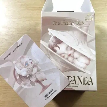 역설 외부 에코
