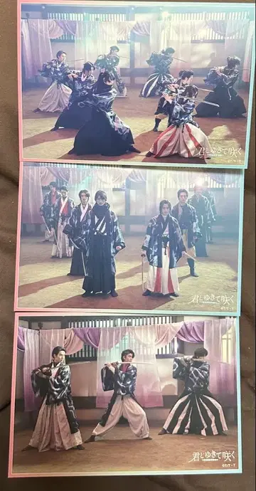 너와 함께 피어나는 너와 함께 엽서 3종