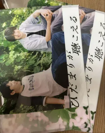 히다마리가 들리는 클리어 파일 나카자와 모토키 고바야시 토라노스케