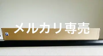 RAIDOU Remastered: 초력병단 기담 B2 포스터 2종
