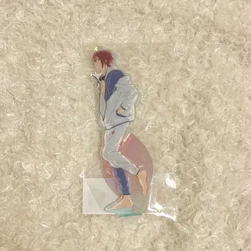 Free! 오로라 아크릴 스탠드 오케스트라 오케콘 마쓰오카 린