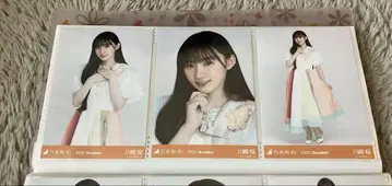 카와사키 사쿠라 노기사카 브로마이드 컴프