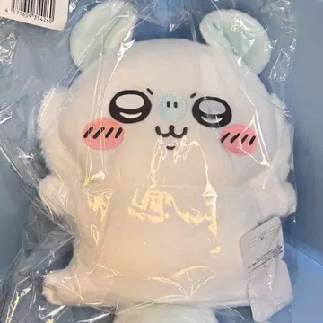 치이카와 모몽가 가득 복권 B상 안기 사이즈 봉제 인형, E상 컴프 세트