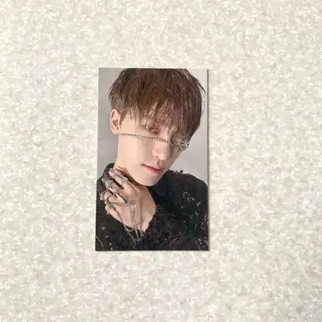 SEVENTEEN 소비기한 유니버셜 럭드 디노