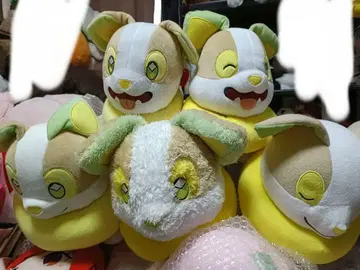 완파치 봉제 인형 묶음 판매 포켓몬스터 포켓몬