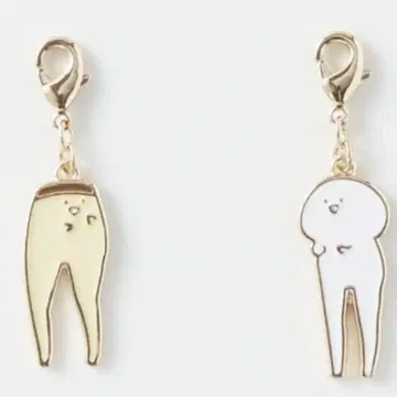 문구와 함께 지퍼 참 세트