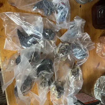 고질라 1번 복권 G상 세트