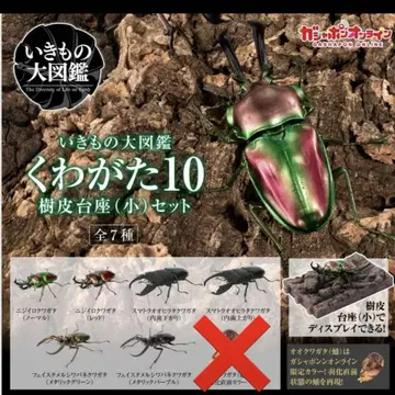 생물대도감 사슴벌레 10 세미 컴프