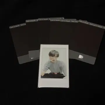 팬더 드래곤 타이카 하피카 폴라로이드