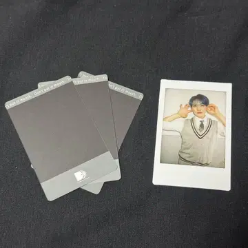 팬더 드래곤 타이 가 폴라로이드 하피카