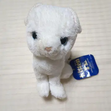 Kitten 스코티시 폴드 화이트 봉제 인형 약 20cm