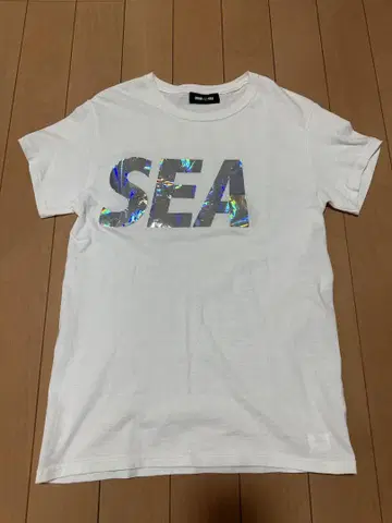 WIND AND SEA 실버 T 빅 로고 S 사이즈 실버