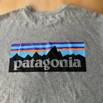 patagonia 파타고니아 그레이 티셔츠 표시 XL 사이즈