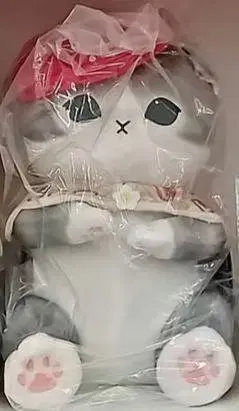 제일복권 mofusand B상 후르츠 샌드 냥의 다키시메 봉제 인형