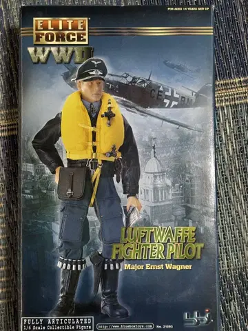 BBI 독일 공군 장교 파이롯트 Ernst Wagner