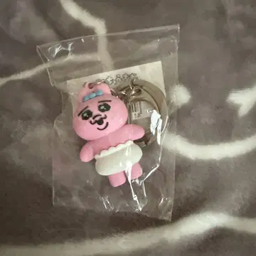 빤쮸토끼 팝업 한정판