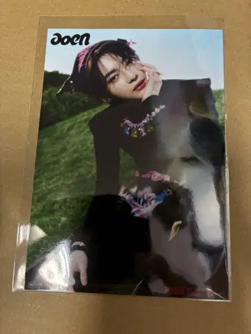 aoen 푸른 태양 타워레코드 특전 브로마이드 단품 새상품