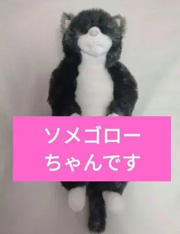 커들리(Cuddly) 봉제 인형 소메고로