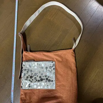 사선 가케 백