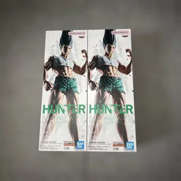 헌터 헌터 피그 라이프 곤 모든 펜 2개 세트