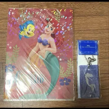 인어공주 아리엘 극단 사계 디즈니 패스 케이스 클리어 파일