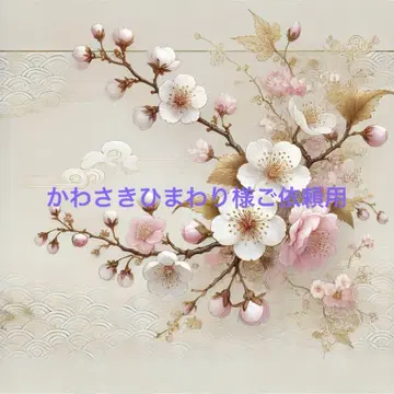가와사키 해바라기님 의뢰용