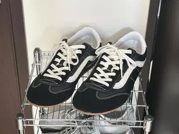 vans super low pro