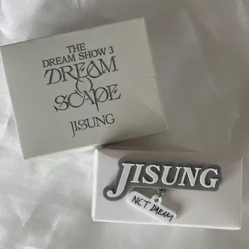 NCTDREAM DREAM()SCAPE 팬 라이트 액세서리 치송