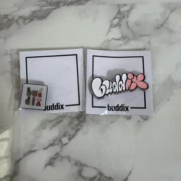 환타 buddix 핀 배지 2종 세트