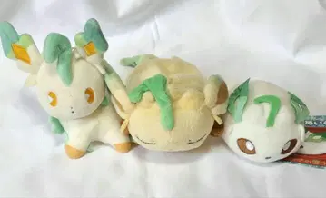 포켓몬스터 포켓몬 봉제 인형 리프 피아