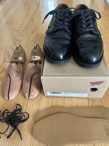 레드 윙 포스트맨 101