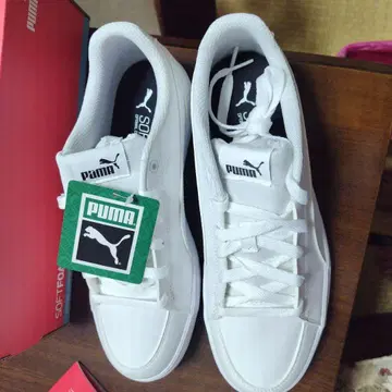 PUMA COURT POINT VULC V2 BG 39(6 UK)
