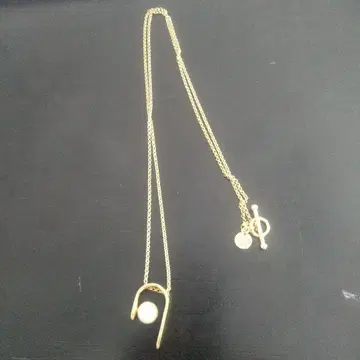 필립 오디베일 롱 목걸이 KARLA PERLES