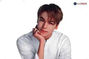 SEVENTEEN 버논 더 세임 트레이딩 카드 클리어