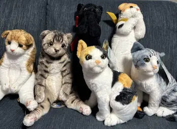 리얼 고양이 봉제 인형 세트