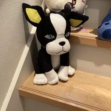 개 봉제 인형
